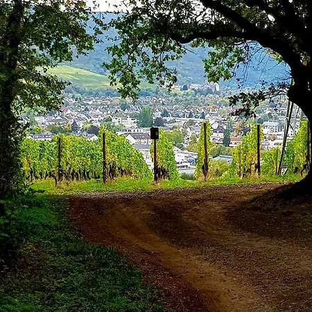 Ahrweiler Seelchen 巴特诺因阿尔-阿尔韦勒