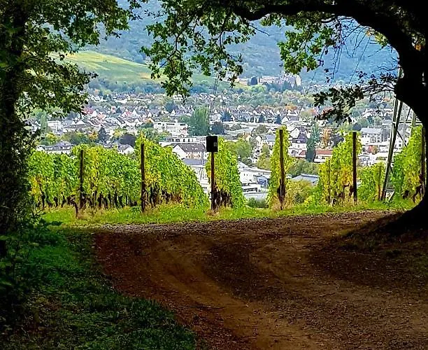 Ahrweiler Seelchen Bad Neuenahr-Ahrweiler